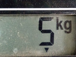 Стекло двери передней левой, ориг. номер 9201F8, Peugeot 307 2001-2005
