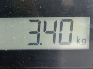 Стабилизатор подвески (поперечной устойчивости), ориг. номер 508189, Citroen Berlingo 2004-2013