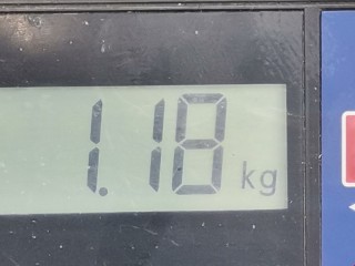 Дождевик, Ford Cougar 1998-2000