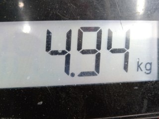 Поддон, ориг. номер 93184905, Opel Astra 1998-2009