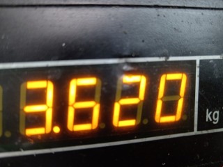 Коллектор выпускной, ориг. номер 8200740580, H323457, Renault Clio 2003-2013
