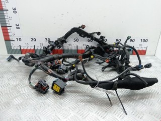 Проводка, Peugeot 308 2007-2011