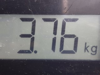 Пружина задняя, ориг. номер 553301G100, Hyundai Accent 1999-2012