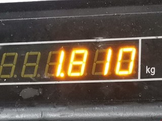 Кронштейн двигателя, ориг. номер 24449617, 90502614, Opel Vectra 1995-2000
