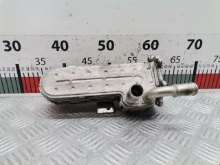 Радиатор EGR, ориг. номер 038131513D, Volkswagen Golf 1997-2006