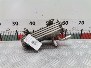 Радиатор EGR, ориг. номер 038131513D, Volkswagen Golf 1997-2006