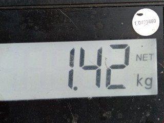 Педаль сцепления, ориг. номер 90539237, 13173772, Opel Astra 1994-2002