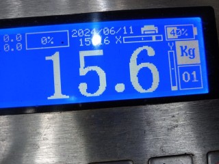 Крышка багажника (дверь 3-5), ориг. номер LR055919, LR044396, Land Rover Range Rover Sport 2013-2017