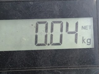 Датчик давления масла, ориг. номер 55202374., Opel Astra 1998-2009