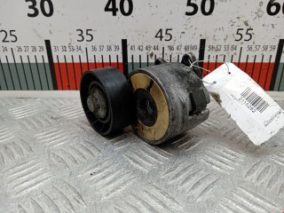 Натяжитель ремня генератора Opel Zafira 2003-2006, дизель, 55190813