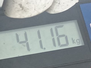 КПП механическая (МКПП) 5-ступенчатая, ориг. номер 25187331, Opel Mokka 2012-2016