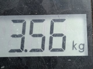 Фара правая, ориг. номер 8113005340, Toyota Avensis 2011-2015