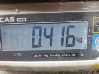 Шкив помпы, ориг. номер 90531737, Opel Corsa 2006-2011