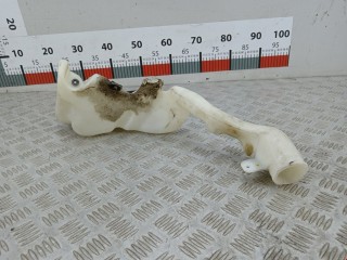 Бачок омывателя, ориг. номер 1C0955453M, Volkswagen Beetle 1997-2005