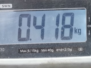 Шкив, ориг. номер 030145269A, Volkswagen Golf 1991-2000