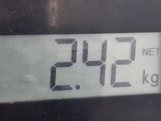 Стеклоподъемник передний правый, ориг. номер 8252392, 51338252394, BMW 5 E39 2000-2004