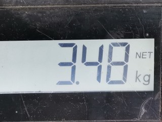 Пружина задняя, ориг. номер 1J0511115AF, Volkswagen Golf 1997-2006