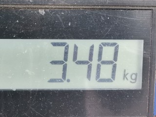 Пружина задняя, ориг. номер 1J0511115AF, Volkswagen Golf 1997-2006