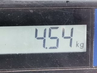 Электроусилитель руля, ориг. номер 6Q0423156S, 6R0423156C, Volkswagen Polo 2001-2005