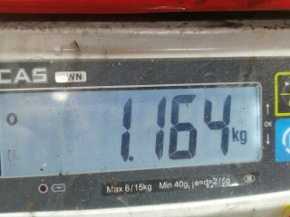 Кронштейн двигателя, ориг. номер 8D0199308M, Audi A6 1997-2001
