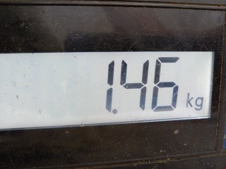Защита арок передняя левая (подкрылок), ориг. номер 3C0805911C, 3C0805977, Volkswagen Passat 2005-2010