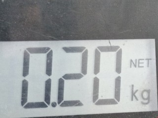 Амортизатор крышки багажника (3-5 двери), ориг. номер 7700842256, Renault Clio 1998-2002
