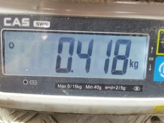 Шкив, ориг. номер 038145255A, Volkswagen Beetle 1997-2005