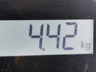 Суппорт передний левый, ориг. номер 7701065266, Renault Megane 2002-2006