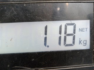 Ремень безопасности передний левый, ориг. номер 13146618, 13128271N, Opel Vectra 2002-2005