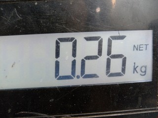 Амортизатор капота, ориг. номер 24465295, Opel Astra 1998-2009