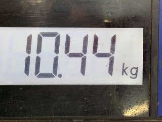 Нагнетатель воздуха (компрессор), ориг. номер A2710902680, Mercedes C W203 2000-2004