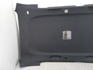 Потолок, ориг. номер 51448259687, 8259687, BMW X5 E53 2003-2006