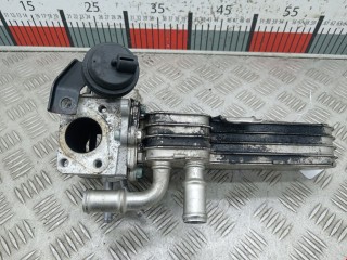 Радиатор EGR, ориг. номер 038131513AD, 038131512H, Volkswagen Golf 1997-2006