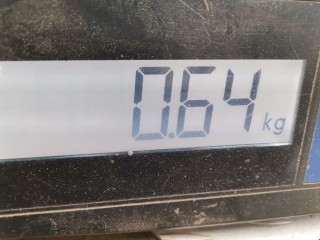 Насос вакуумный, ориг. номер 1487860, Ford Focus 2001-2005