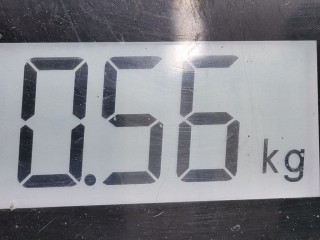 Корпус масляного фильтра, ориг. номер A1661800310, A1661800710, Mercedes A W168 1997-2001