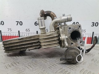 Радиатор EGR, ориг. номер 038131513D, Volkswagen Golf 1997-2006