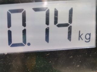 Радиатор EGR, ориг. номер 9646762280, 1497378, Ford Focus 2001-2005