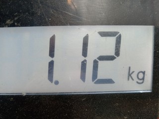 Блок предохранителей, ориг. номер 13181278, 5DK00866931, Opel Astra 1998-2009
