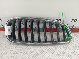 Решетка радиатора BMW Z4 2009-2013, 10627110