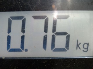 Натяжитель ремня генератора, ориг. номер 072120628000, 8200905328, Renault Scenic 2009-2012