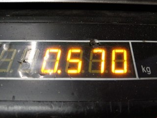 Кожух защитный тормозного диска задний левый, ориг. номер 4209E3, Peugeot 307 2005-2008