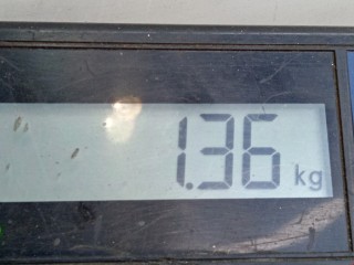 Передняя панель крепления облицовки (телевизор), ориг. номер 51647008845, BMW 6 E63/E64 2007-2010