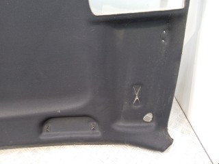 Потолок, ориг. номер 51447068296, BMW X5 E53 2003-2006