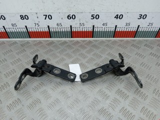 Петля крышки багажника, ориг. номер 41627170918, BMW X5 E70 2006-2010