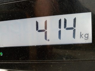 Радиатор (основной), ориг. номер 17117795878, E9990004, BMW 5 E60/E61 2002-2007