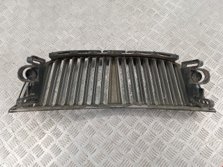 Решетка радиатора, Pontiac Trans-Sport 1994-1996