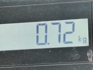 Амортизатор крышки багажника (3-5 двери), ориг. номер 13258179, 001222, Opel Astra 2006-2014