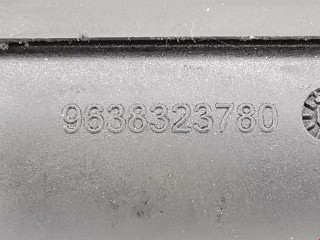 Маслозаливная горловина, ориг. номер 9638323780, 1192V4, Citroen Picasso
