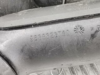 Маслозаливная горловина, ориг. номер 9638323780, 1192V4, Citroen Picasso