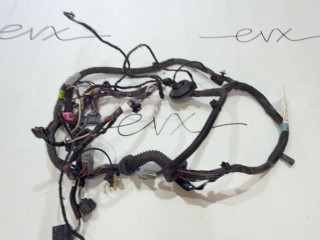 проводка двери передней правой, ориг. номер 1004424-00-P, Tesla Model S 1 поколение [рестайлинг] 2016-2021